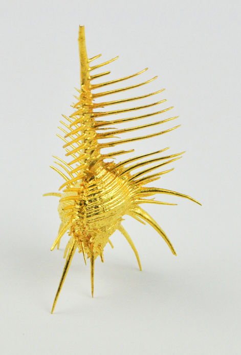 coquillage en bronze, sculpture dorée, sculpture élégante