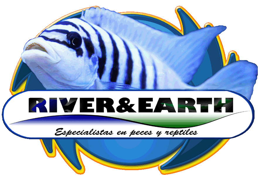 Logo River & Earth tienda de peces tropicales y reptiles en Irun - Gipuzkoa