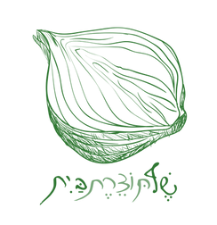 logo-meir-fix.png