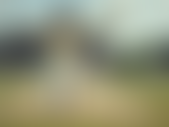 Unraveling Cricket Strategies: Key Match Moments