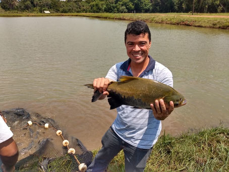 Seja bem-vindo à Associação Brasileira de Aquaponia (ABA) 
