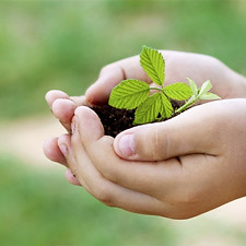 AdobeStock_243536465_edited_edited.jpg