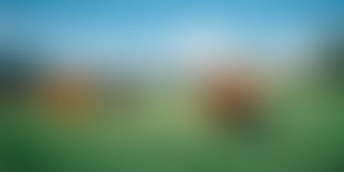 How Aussie Farmers Are Cutting Methane Without Cutting Productivity