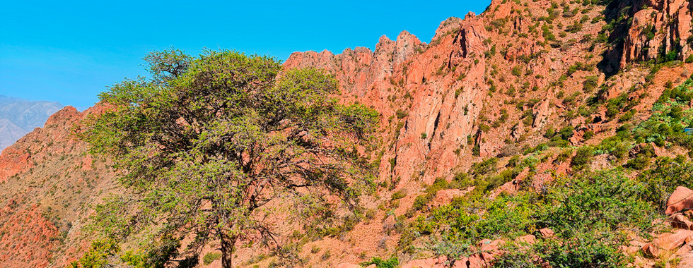 Deserts, rock formations, natural attraction.s
