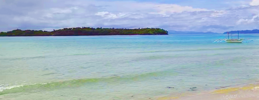 Beaches and islands of the Pacific Ocean coasts.