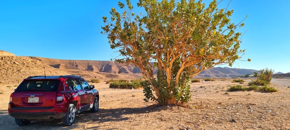 Deserts, parks, landscapes, natural attractions, and rock formations