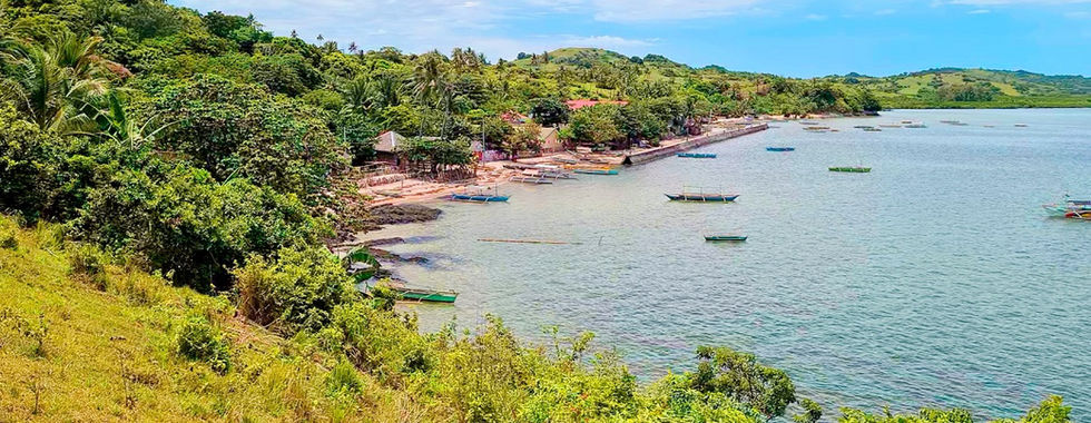Paradise of the West Pacific Coast