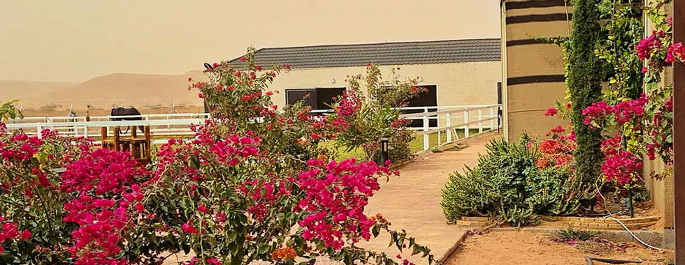 Desert farms, stables, parks and mountains