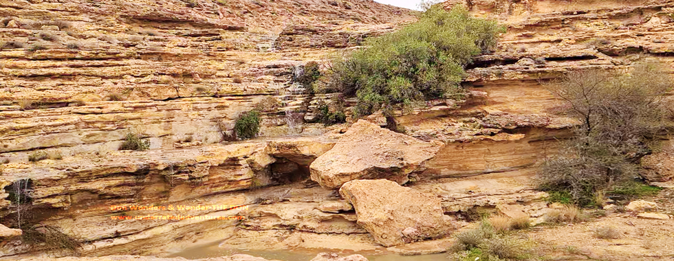 Arab ancient trading road