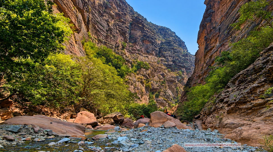 Saudi Arabia’s tropical paradise