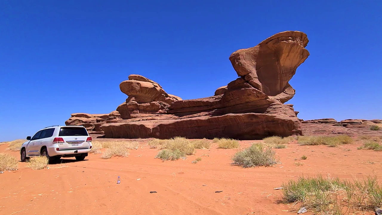 Saudi Arabia's Natural Attraction