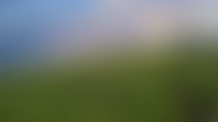 Coastal towns, beaches, and shorelines.