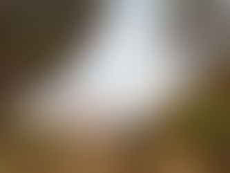 Desert mountains, valleys and hiking spots.