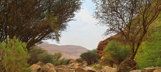 Desert mountains, valleys and hiking spots.