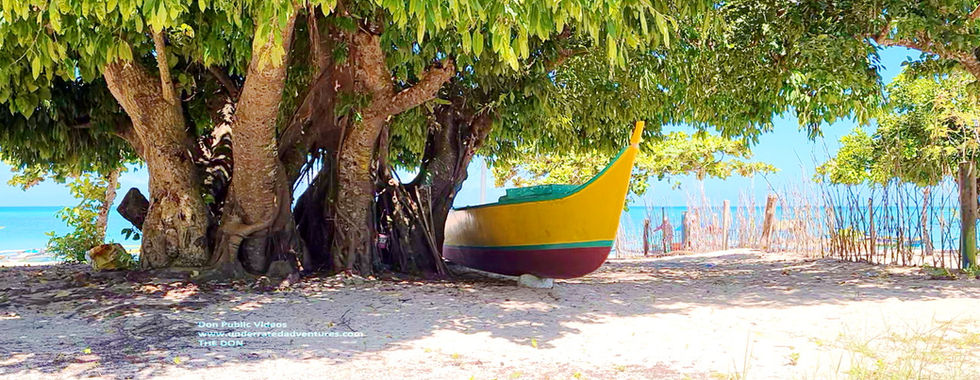 Islands, beaches, shorelines, Paradises.