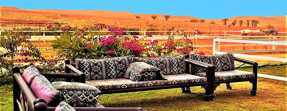 Desert Escapade for Outdoor Enthusiasts.