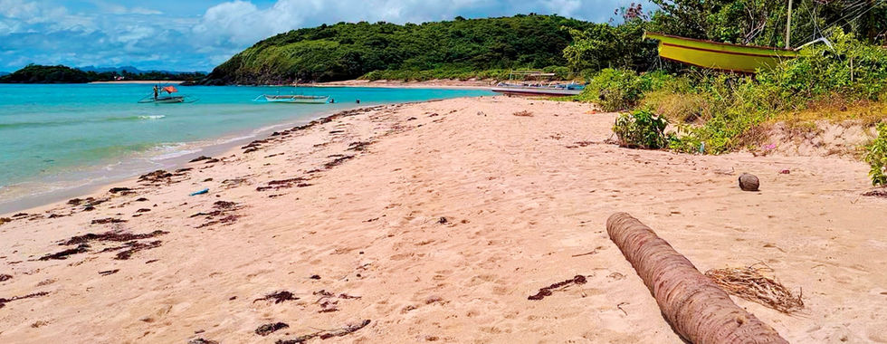 Beaches and islands of the Pacific Ocean coasts.