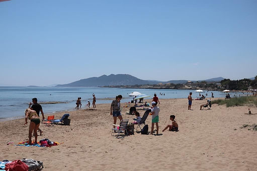 IMG_0779.JPG