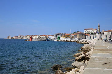 IMG_9920.JPG