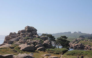 IMG_9486.JPG