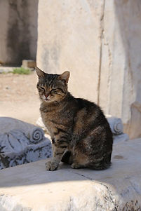 IMG_1188.JPG