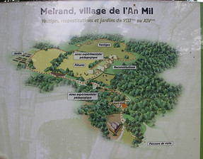 IMG_0717.JPG