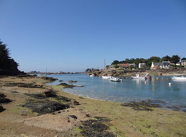 DSC09778.JPG