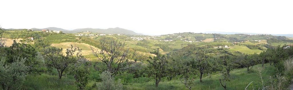 DSC00700.JPG