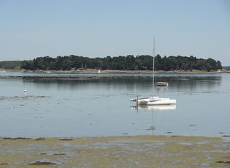 DSC01169.JPG