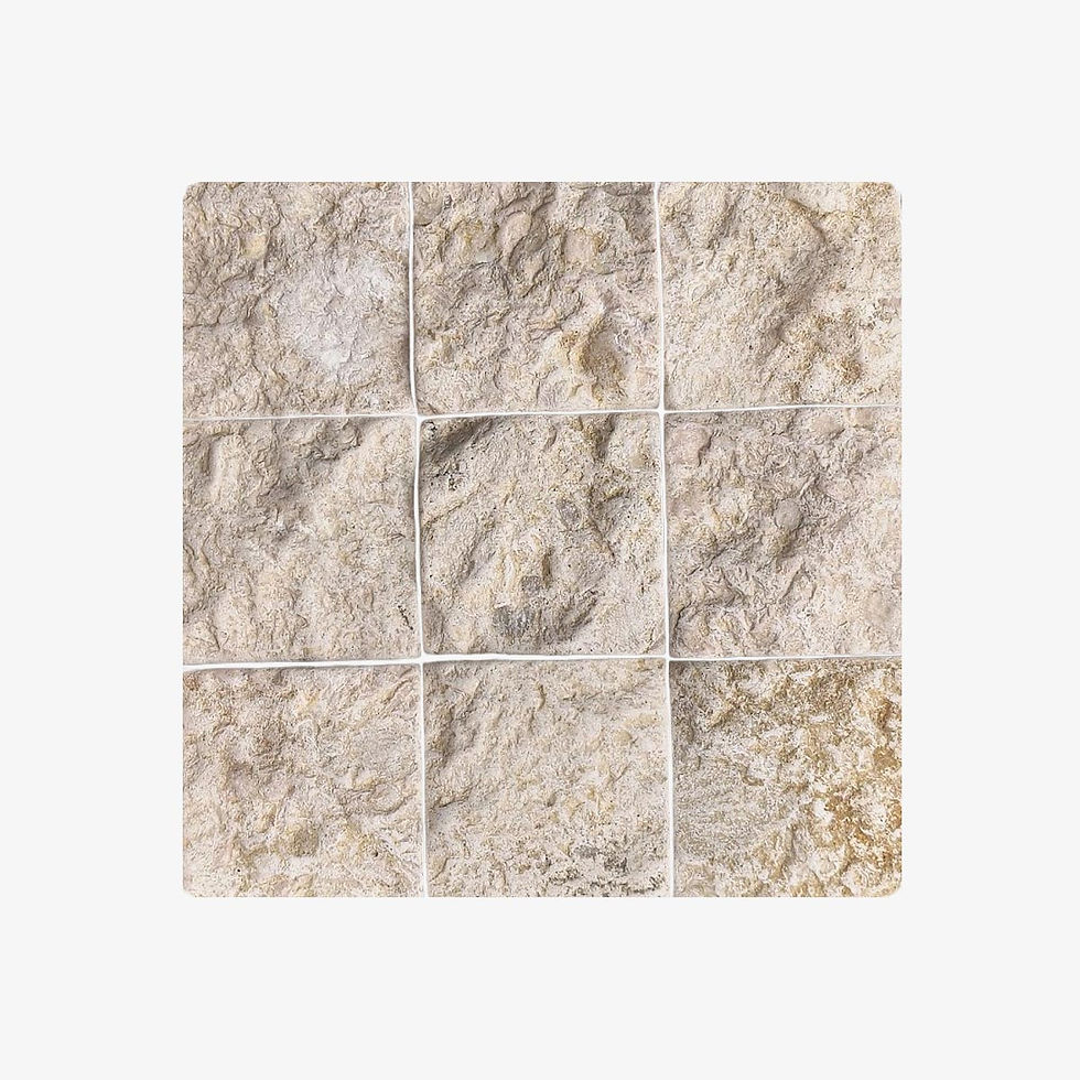 Thumbnail: Limestone Coral
