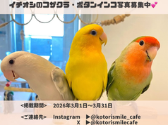 おうちのこ大自慢会