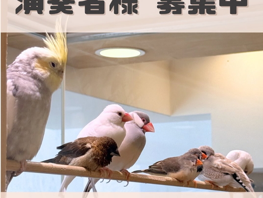 演奏者様募集