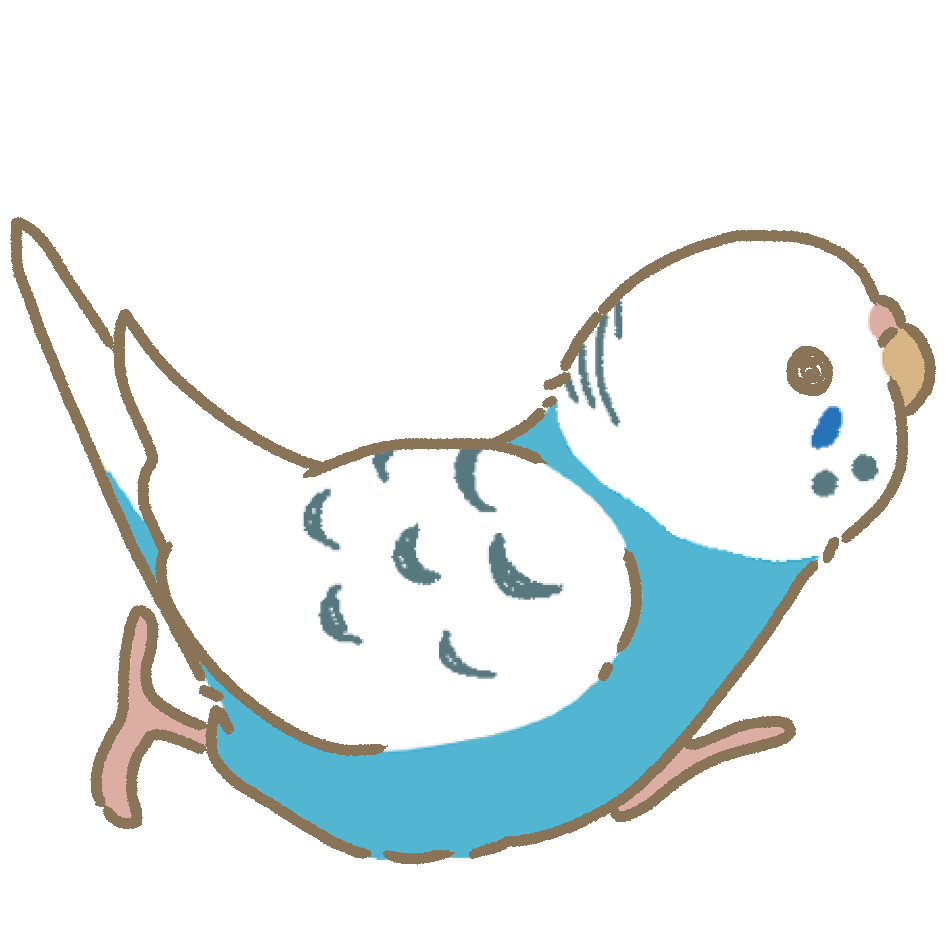 セキセイ青_右