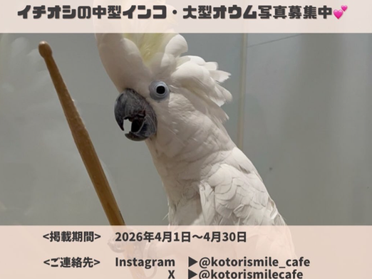 おうちのこ大自慢会