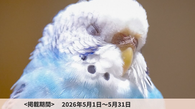 原画オーダー受付：mikotoさん