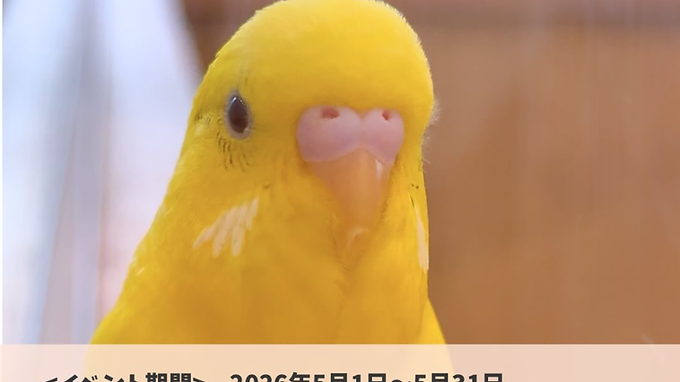 原画オーダー受付：mikotoさん