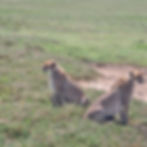 IMG-20250713-WA0123.jpg