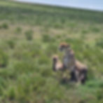 IMG-20250713-WA0115