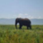 IMG-20250713-WA0122