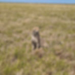 IMG-20250713-WA0100