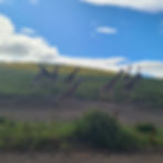 IMG-20250713-WA0131