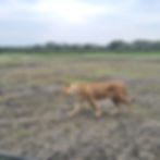 IMG-20250713-WA0147.jpg
