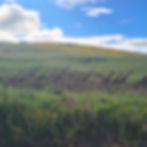 IMG-20250713-WA0110