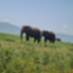 IMG-20250713-WA0134