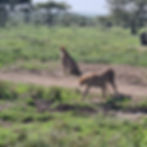 IMG-20250713-WA0150