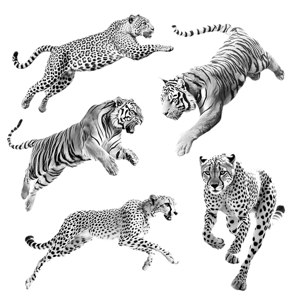 Untitled_Artwork 17_edited.png