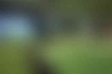 Luxury golf simulator demo room at Golfsim Australia with integrated putting surface, projector screen, and custom flooring.