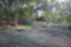 Clearing the driveway to the house s