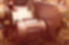 lLCL 200_1002