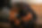 382424158_721168033371407_7493746166408745575_n (1).jpg